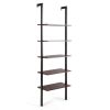 5-Tier Wood Look Ladder Shelf with Metal Frame for Home